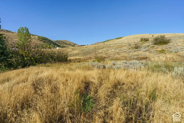Expansive open terrain with natural vegetation and distant hills