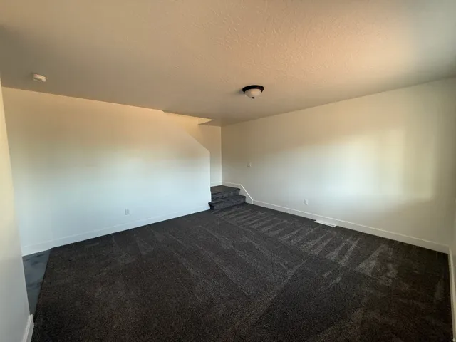 Spacious room featuring neutral paint, dark carpet, and a flush-mount ceiling light