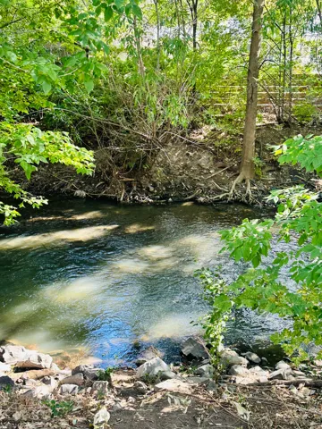 Picturesque creek-side setting with mature hardwood trees, natural stone riverbed, and lush woodland canopy