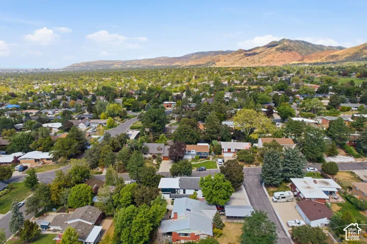 canopy