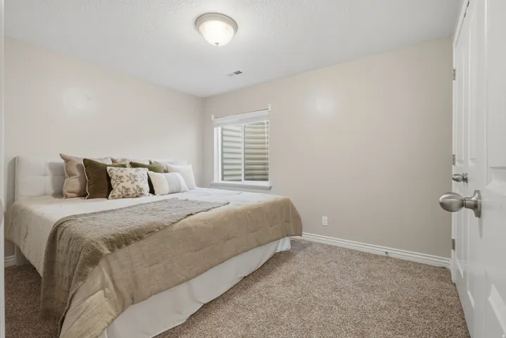 Recessed window with blinds, wall-to-wall carpeting, overhead flush-mount lighting, and a paneled door with brushed nickel hardware