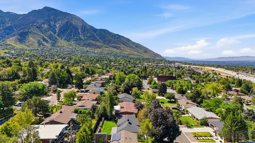 Aerial perspective of a verdant neighborhood with established trees and mountain backdrop