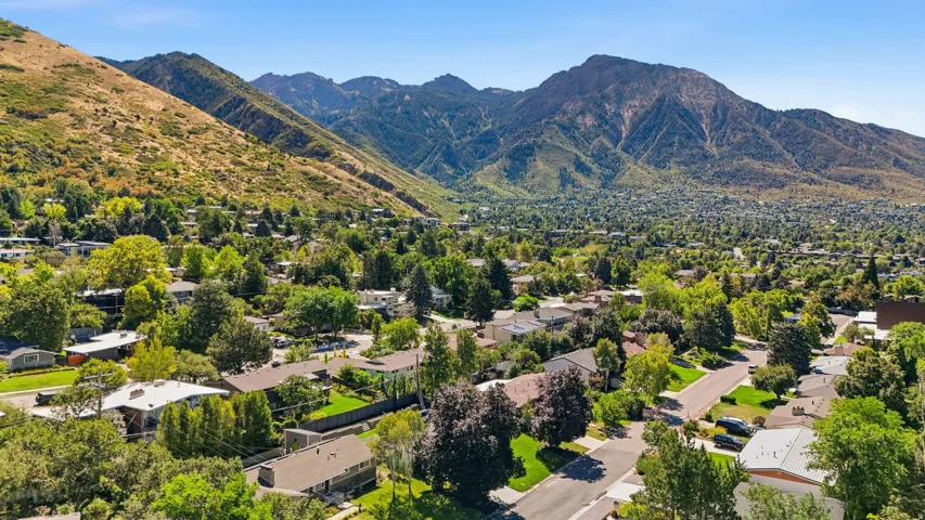 Mountain backdrop with a residential area featuring established trees and varied rooflines