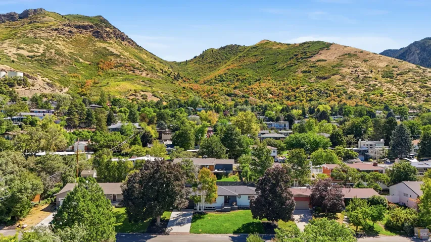 Mountain backdrop with abundant mature trees and residential properties