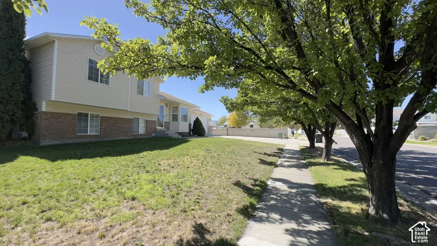 Mature Trees Landscaping