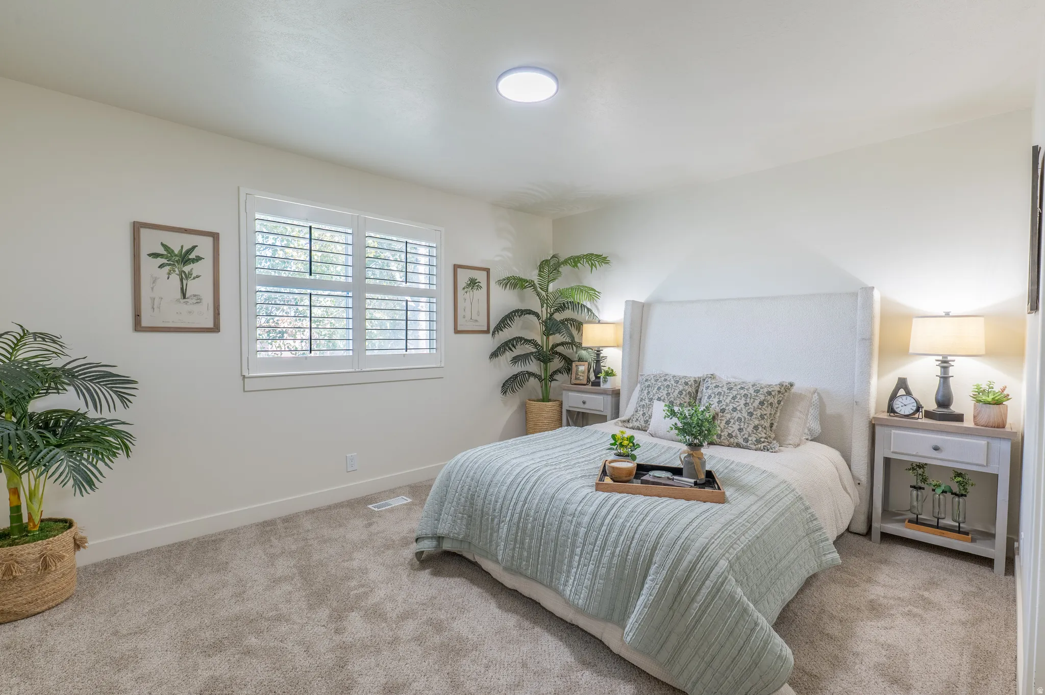 Wall-to-wall carpeting with light-toned walls, a window featuring white plantation shutters, and a ceiling-mounted light fixture