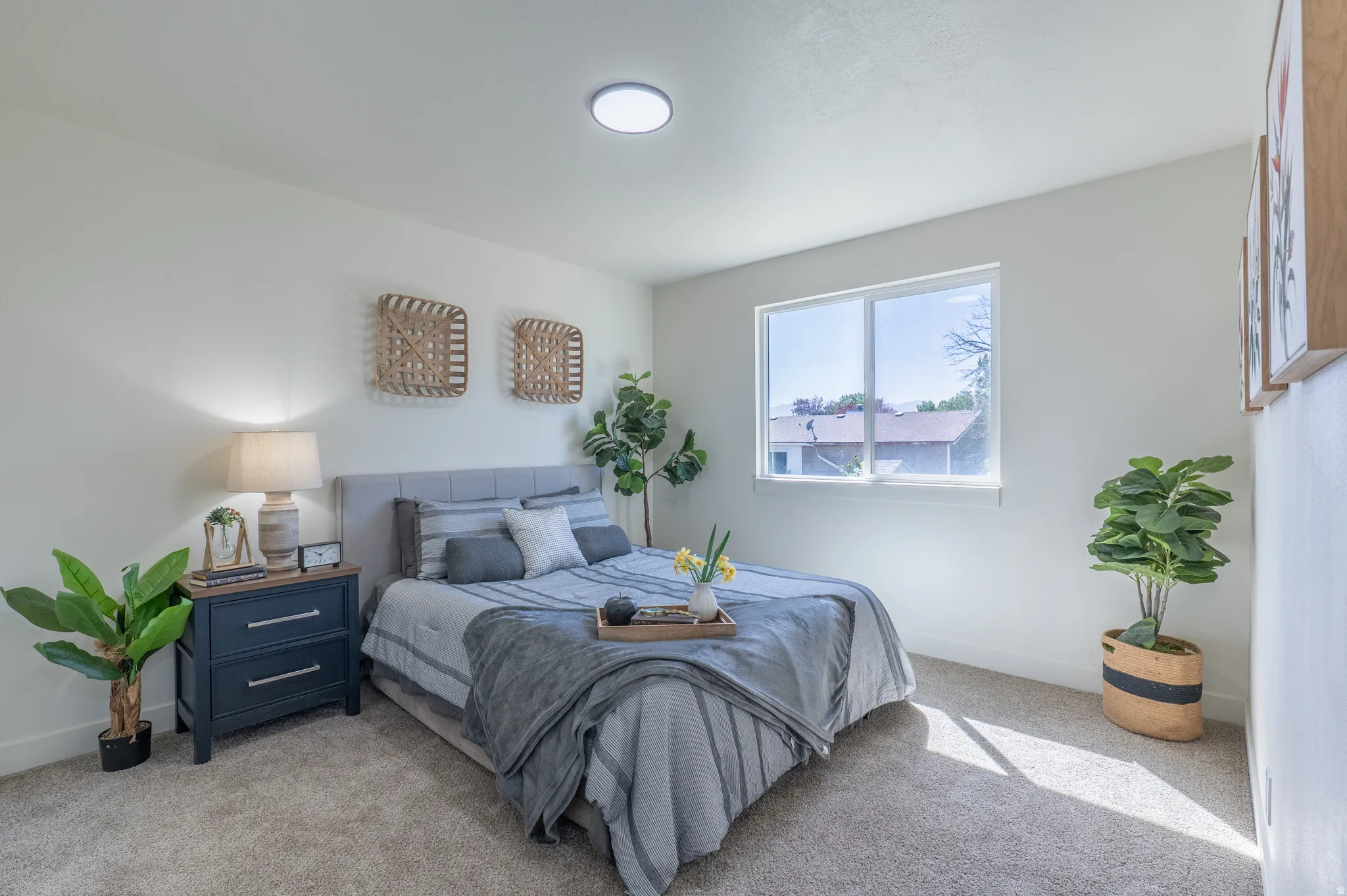 Plush carpet flooring, recessed ceiling lighting, and a single-pane window
