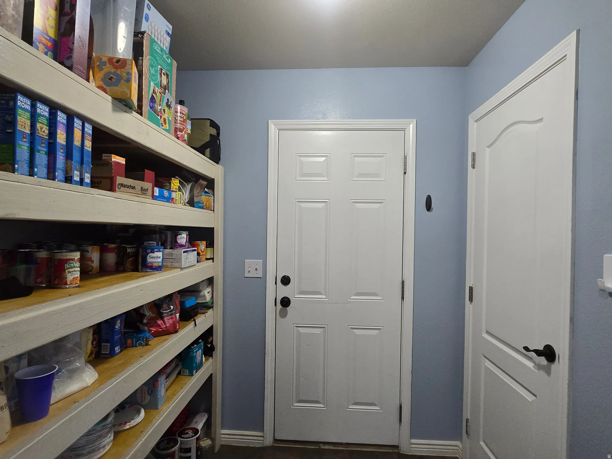 Built-in shelving unit providing extensive storage, two panel doors with black hardware, and light blue wall finish