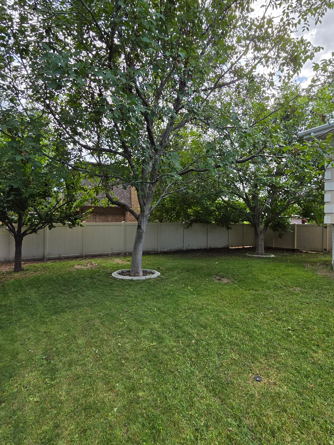 Expansive green lawn with mature trees and a perimeter privacy fence