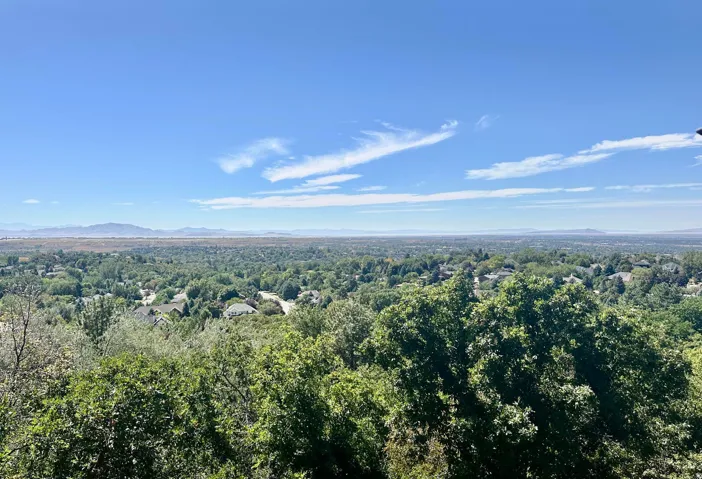 Expansive elevated panorama featuring a residential landscape, distant mountains, and abundant mature trees