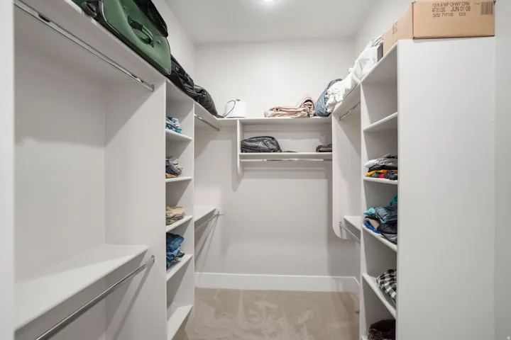 Walk-in closet with built-in shelving, hanging rods, and carpet flooring