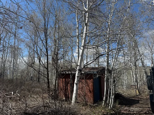 shed on wooded lot