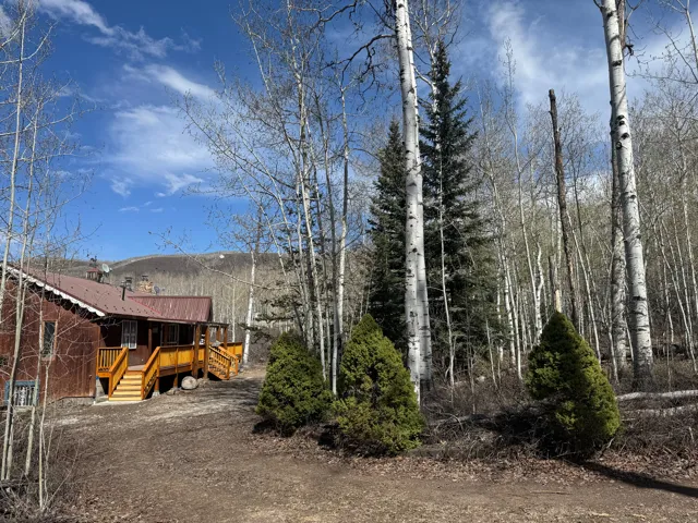 Wood-sided exterior with a metal roof