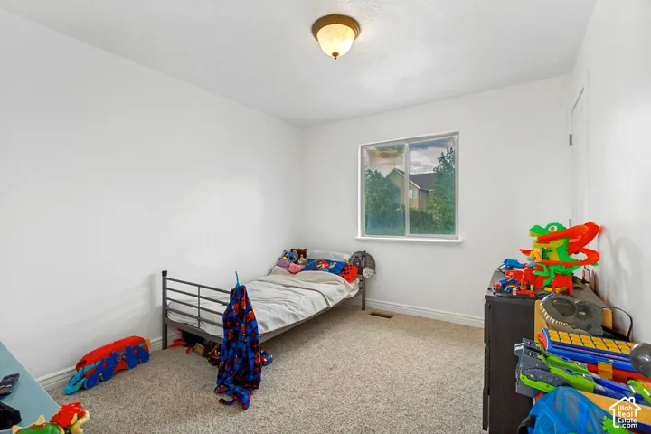 Neutral tone wall paint, light-toned carpet, single window, and a ceiling-mounted light fixture