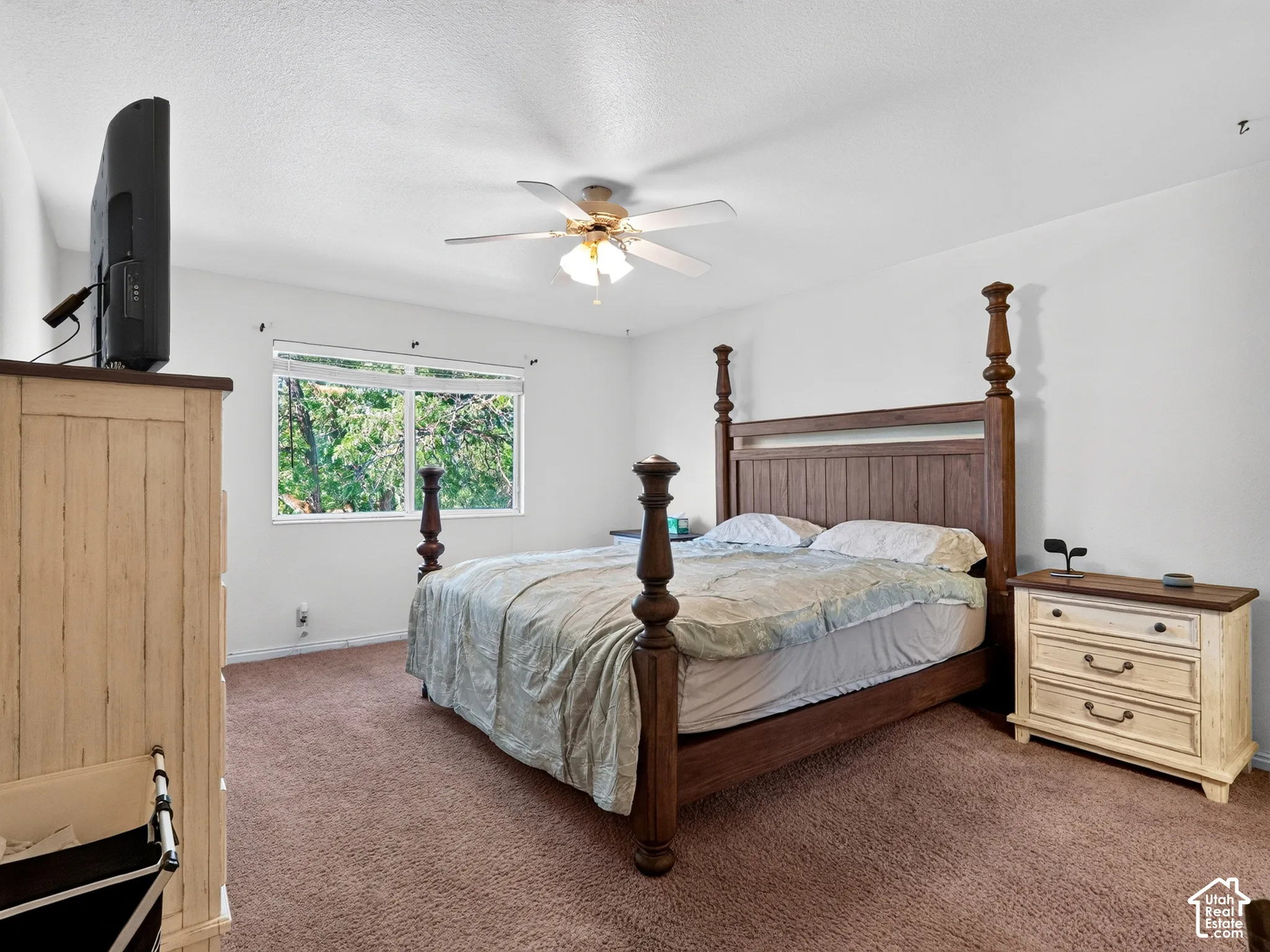 Plush carpet flooring, neutral wall tones, window with natural light, and ceiling fan with integrated lighting