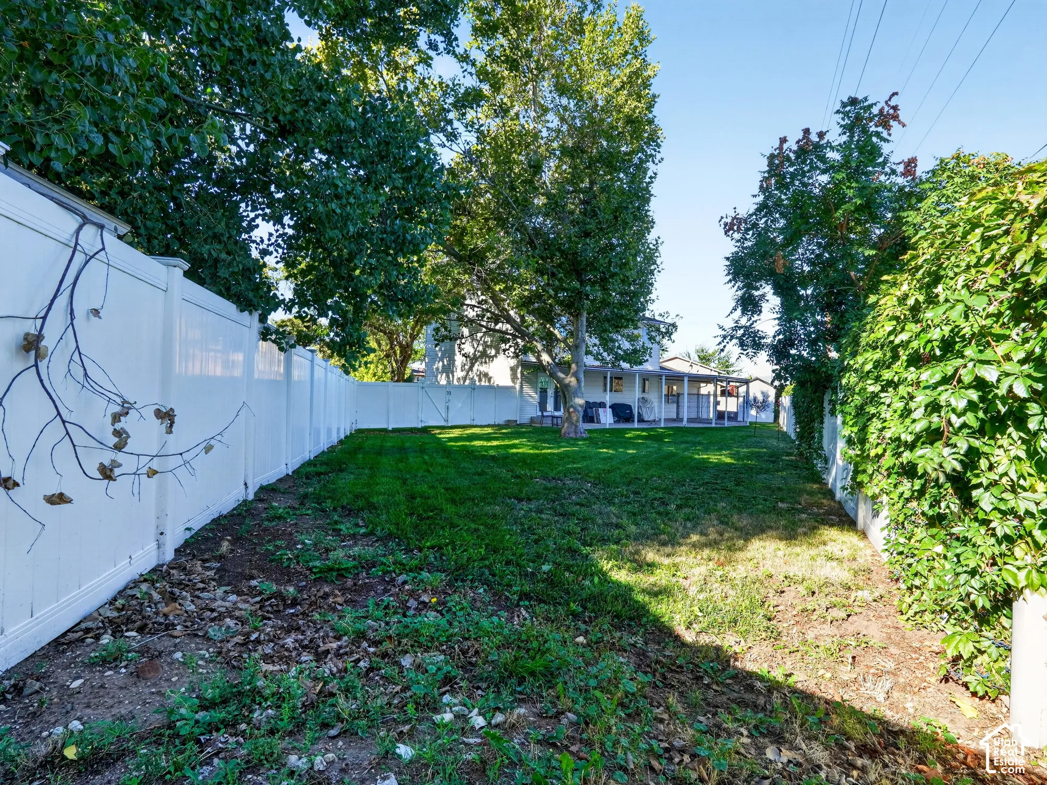 Expansive backyard featuring a manicured lawn, mature trees, and privacy fencing