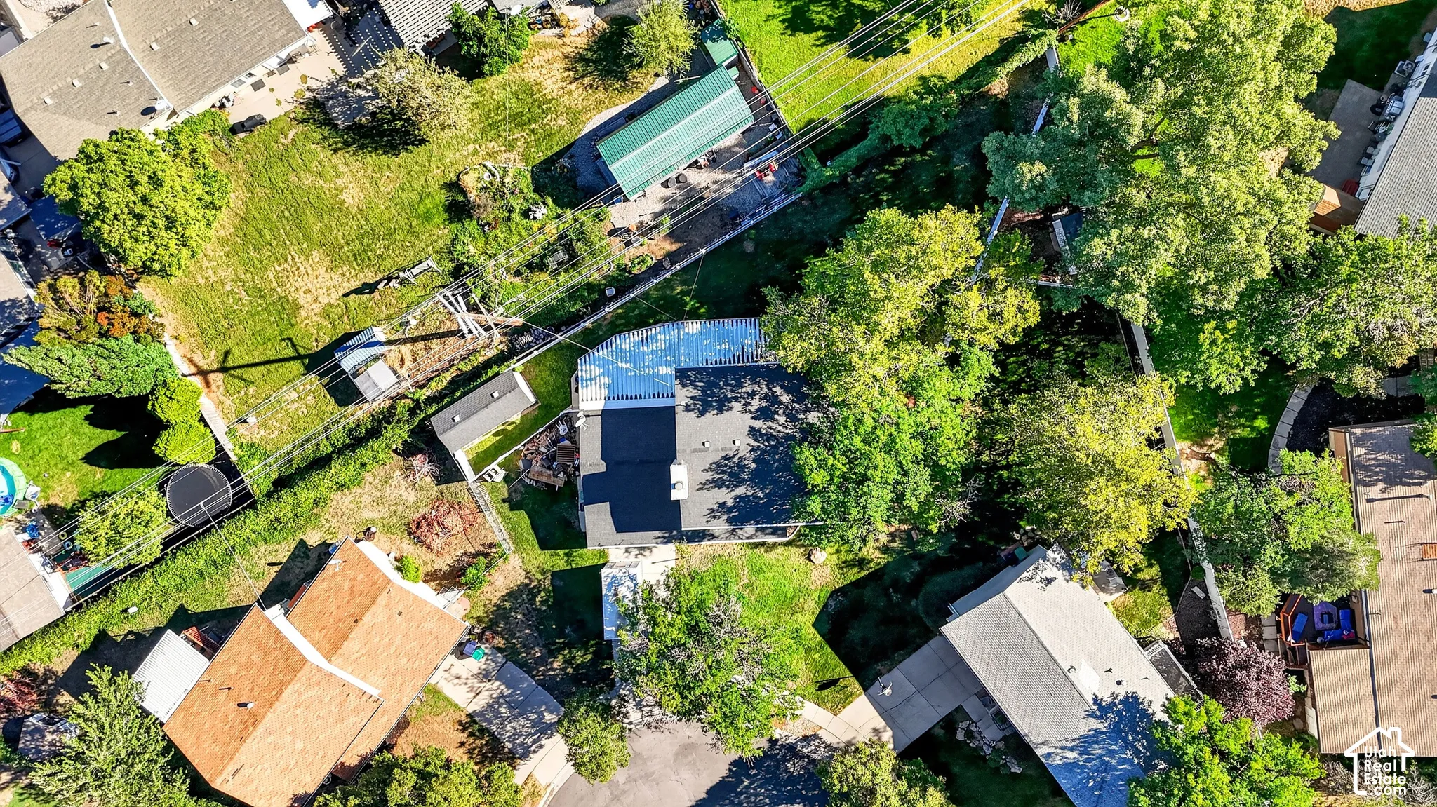 Expansive lot featuring mature trees, a detached storage shed, and a large lawn area