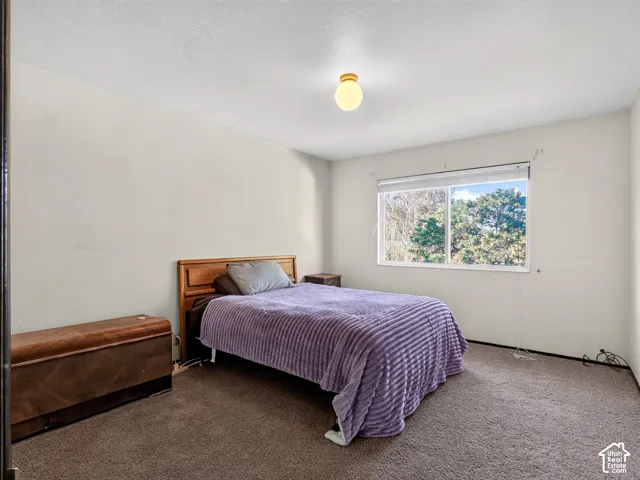 Carpeted flooring with a large window featuring a natural backdrop