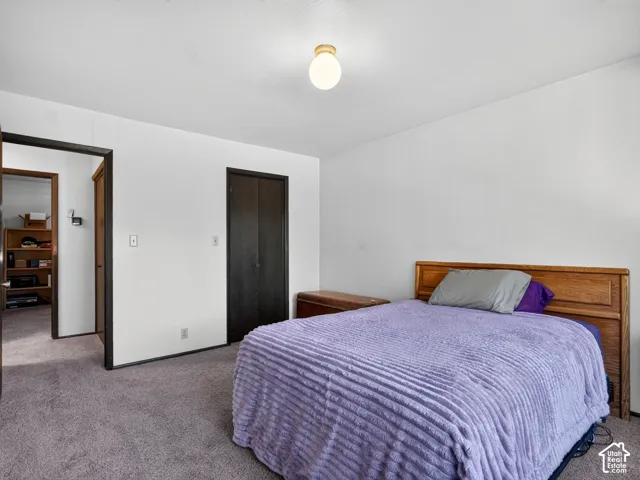 Neutral wall color, wall-to-wall carpeting, wood-finish interior doors, and a ceiling-mounted light fixture