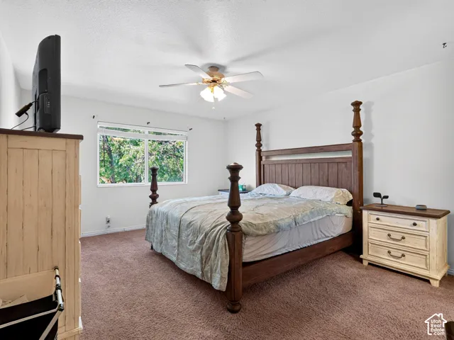 Plush carpet flooring, neutral wall tones, window with natural light, and ceiling fan with integrated lighting