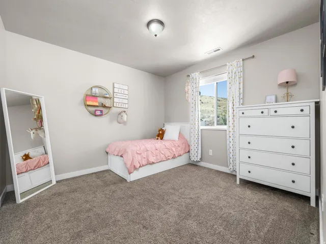 Plush carpet flooring, neutral painted walls, ceiling-mounted light fixture, and a window providing natural light