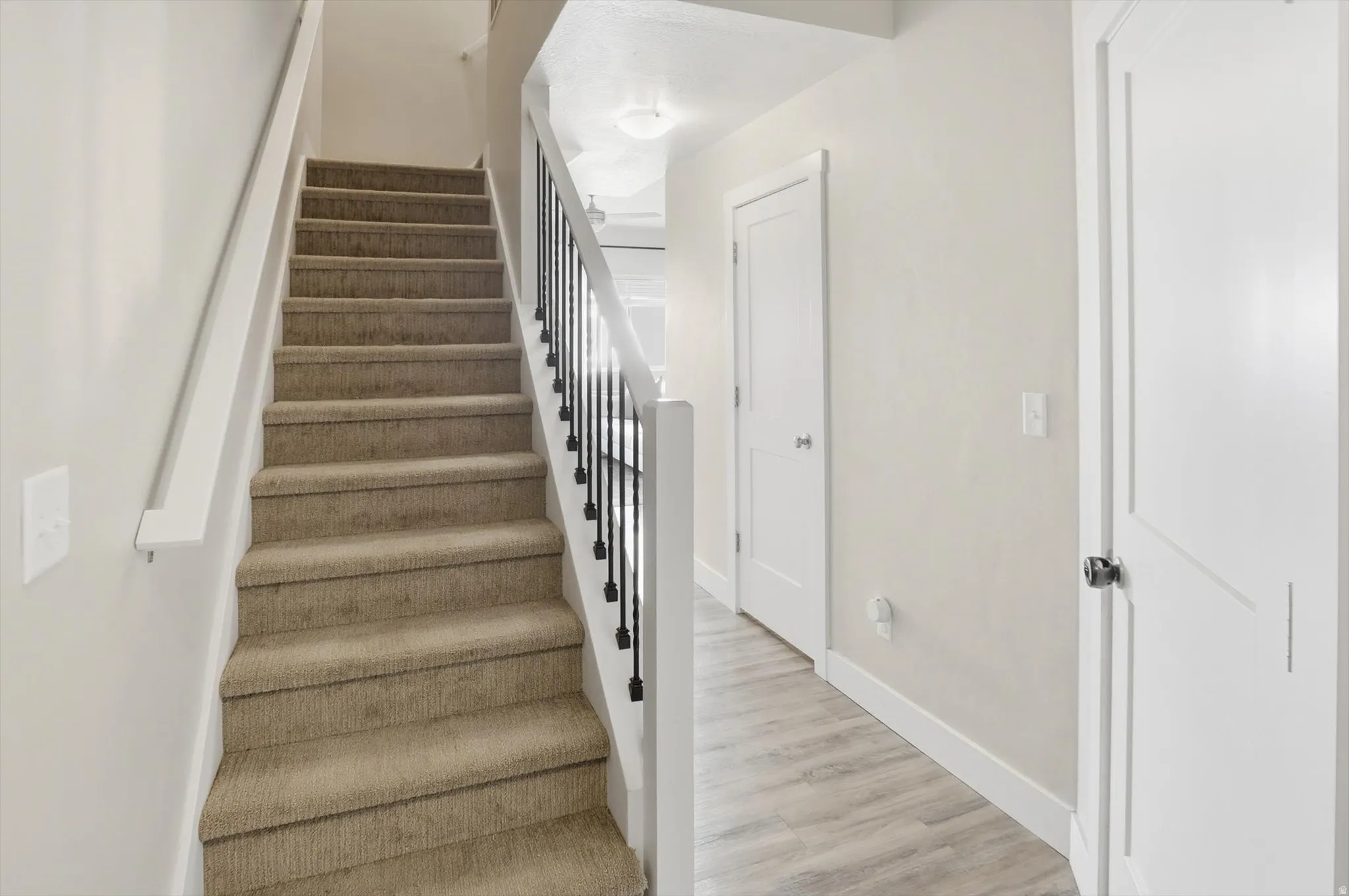 Carpeted stairway with a white handrail and black metal balusters