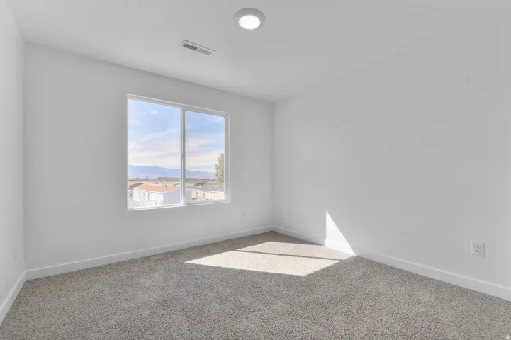 Neutral wall tones, gray carpeting, dual-pane window, flush-mount ceiling light