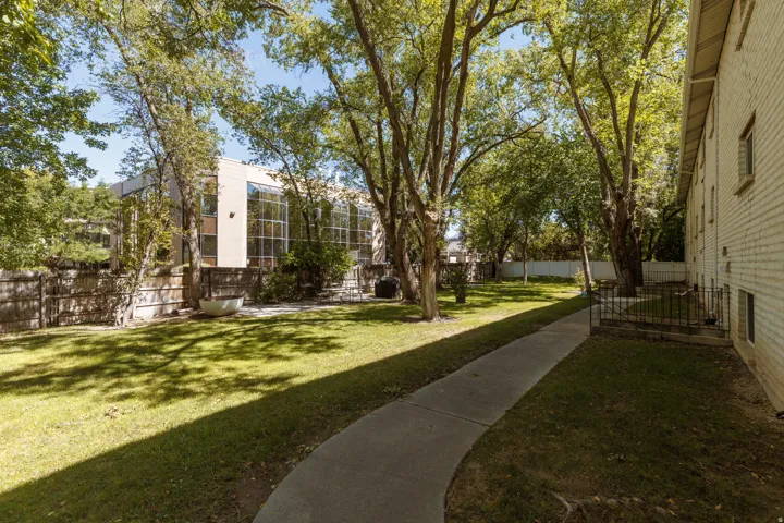Expansive lawn area with mature trees and a concrete pathway