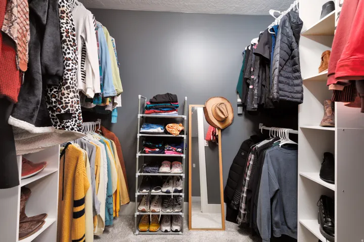Carpeted flooring, built-in shelving, and hanging rods