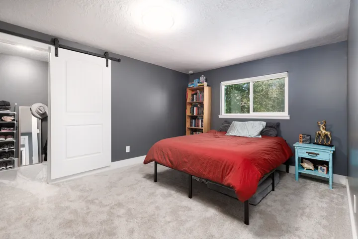 Light-colored carpeted flooring, white barn door, single window, and flush-mount ceiling light fixture