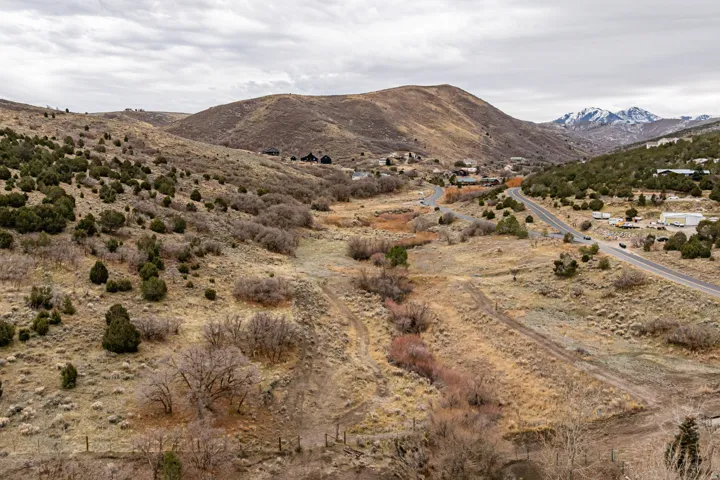 Expansive land parcel featuring natural topography, scattered evergreen shrubs, and mature deciduous trees