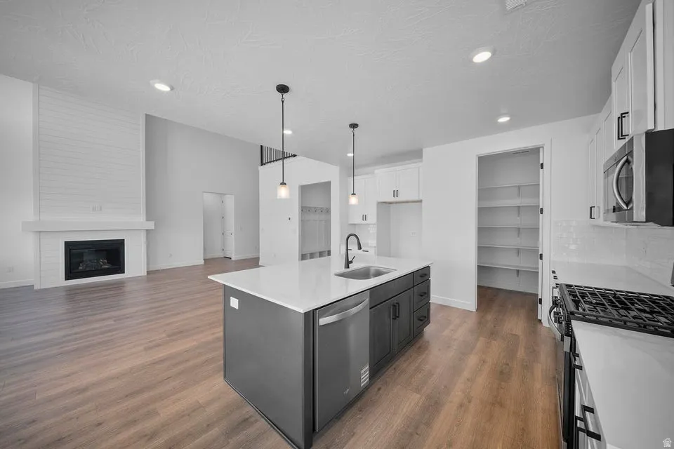 Kitchen island with integrated sink, stainless steel appliances, wood-finish flooring, white shaker cabinetry, and a walk-in pantry