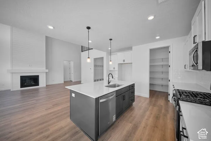 Kitchen island with integrated sink, stainless steel appliances, wood-finish flooring, white shaker cabinetry, and a walk-in pantry