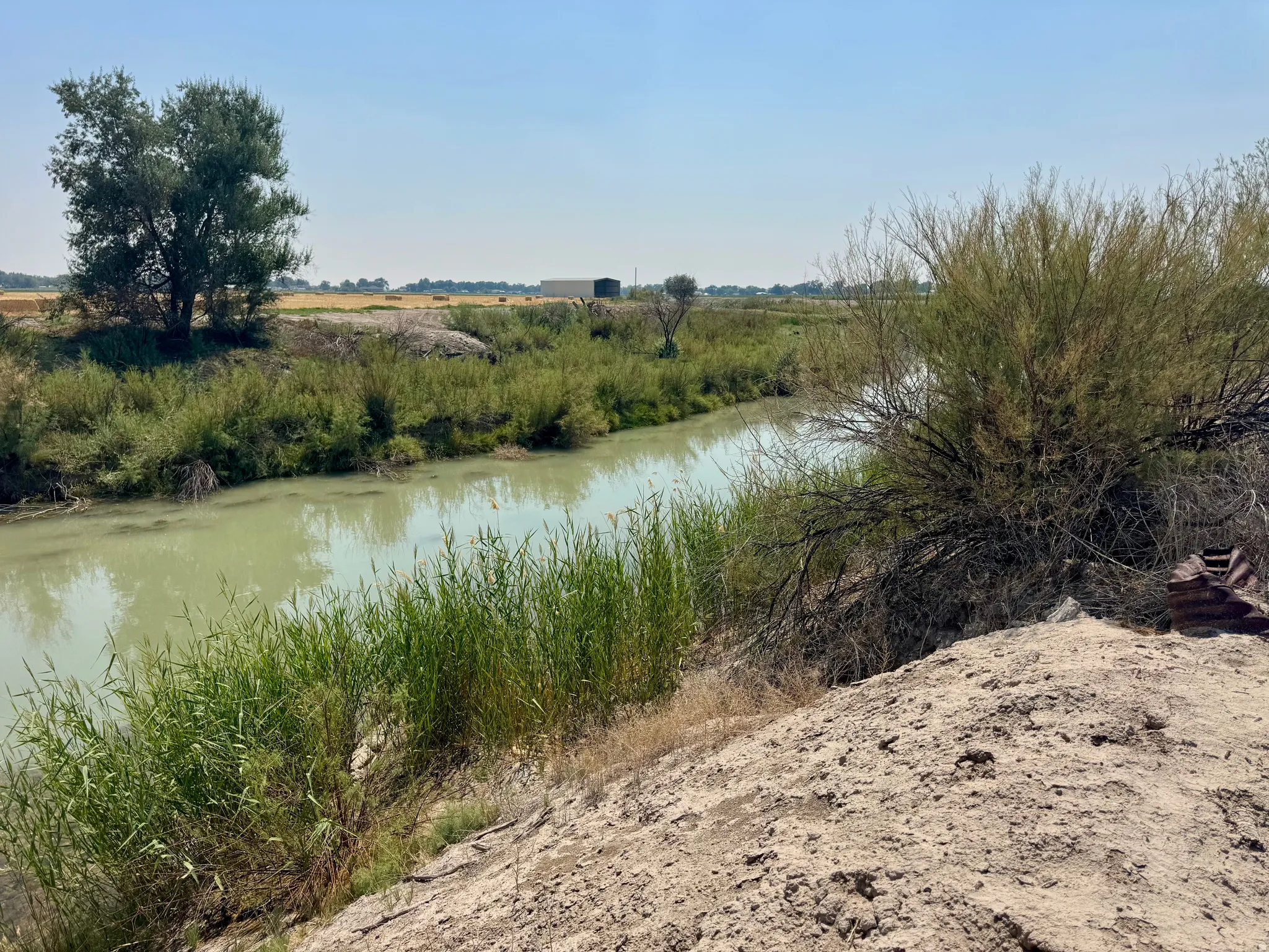 Waterway borders farm (Sevier River)