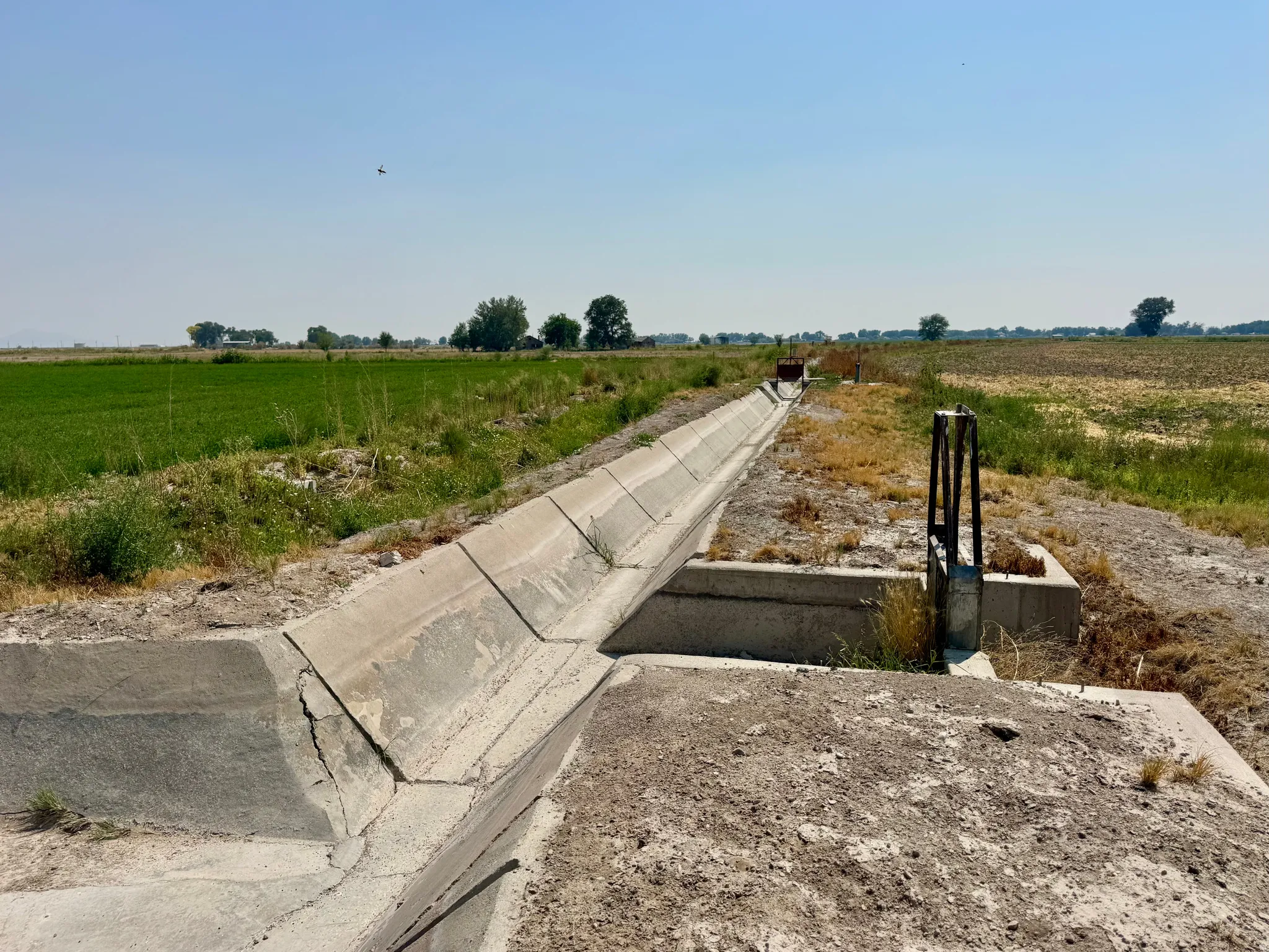 Concrete irrigation canal with an integrated metal gate system, bordered by fields