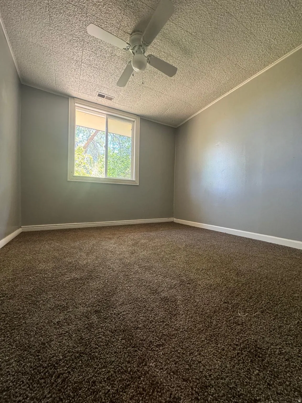 Wall-to-wall carpeting, ceiling fan, and a window with roller shades