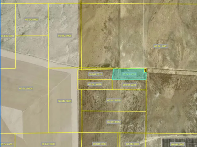 Tax Assessor's Map. Displaying the property and surrounding parcels with identifying numbers