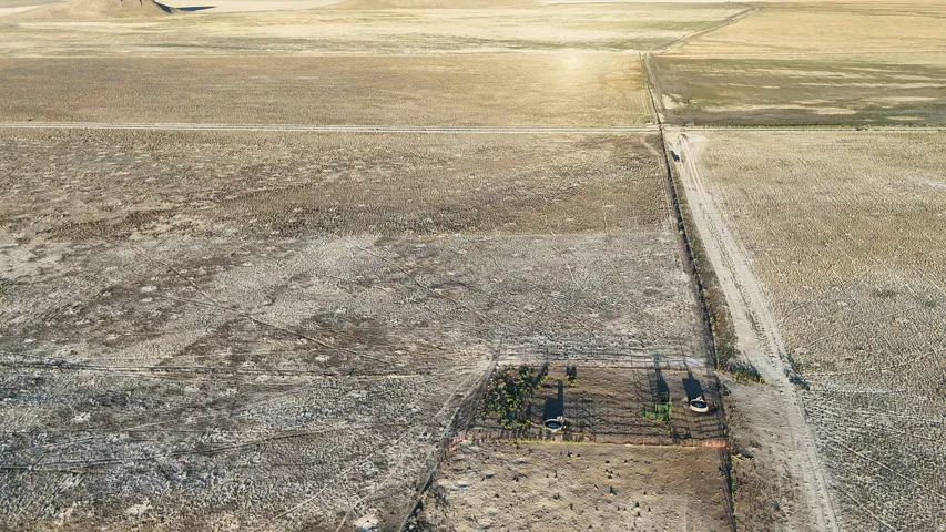 Expansive land plots with discernible boundaries