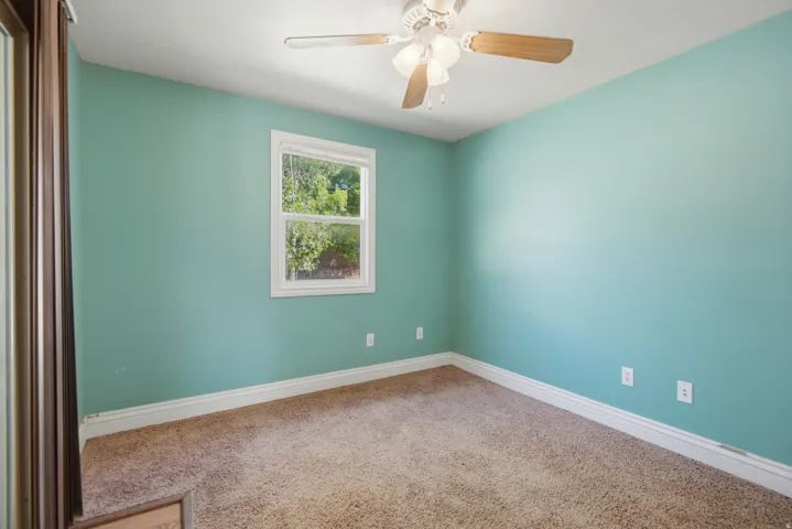 Light-colored carpeting, white trim, and a ceiling fan