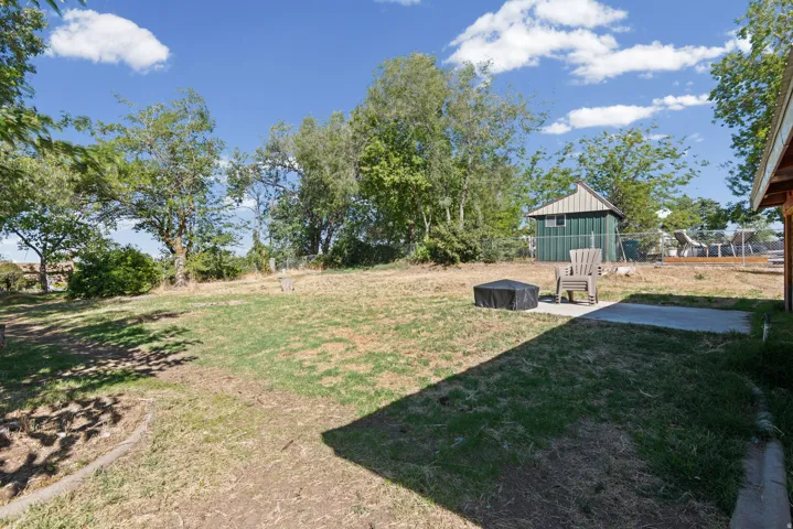 Expansive backyard featuring a concrete patio, mature trees, and a storage shed