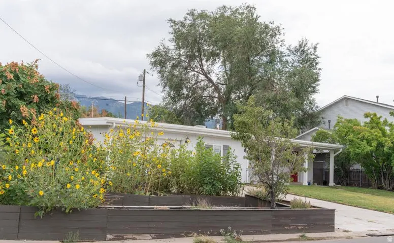 Elevated, irrigated garden boxes grace the side yard, with sunflowers, tomatoes, and grape vines.