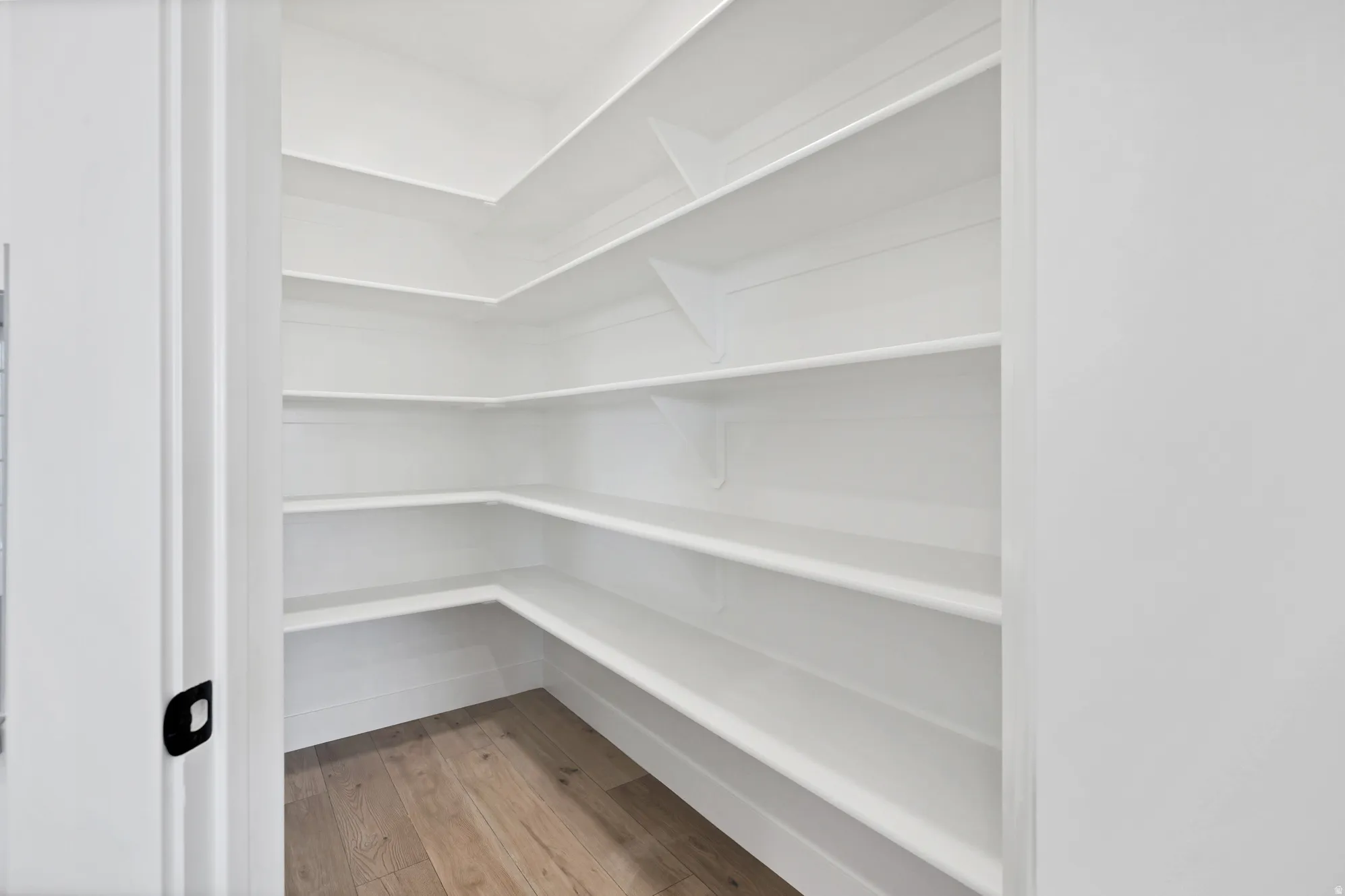 Walk-in pantry featuring extensive white shelving and wood-finish flooring