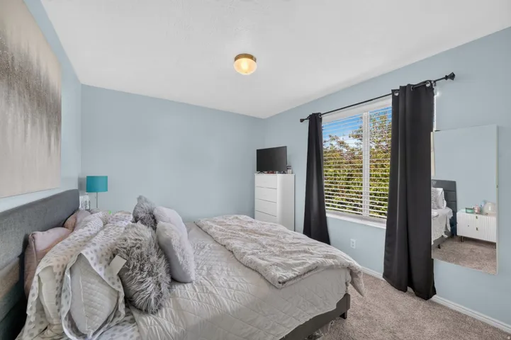 Wall-to-wall carpeting and a ceiling-mounted light fixture