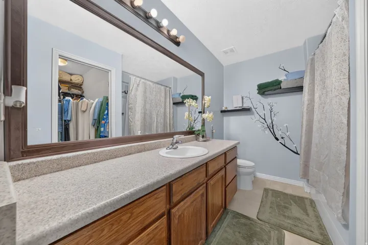 Expansive vanity with a single basin, wood-finish cabinetry, and a large wall-mounted mirror