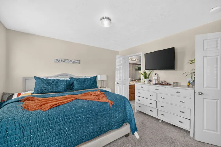 Recessed ceiling light fixture, textured wall finish, wall-mounted television, wood-finish interior door, and soft carpet flooring