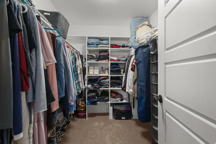 Spacious walk-in closet featuring built-in shelving, hanging rods, and carpet flooring