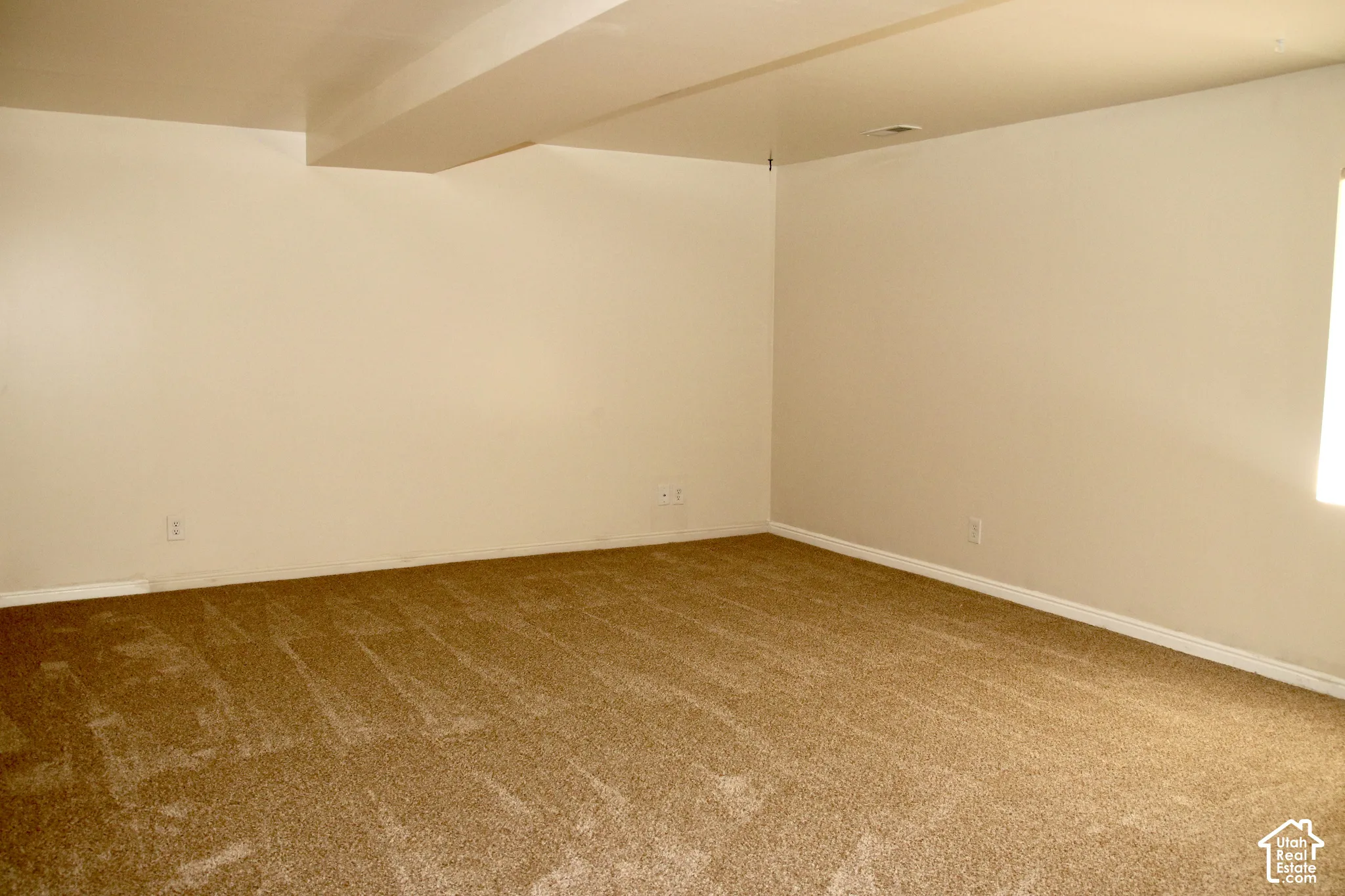 Large family room in basement