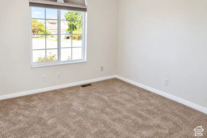 Window with grid accents, light-toned walls, and plush carpeting