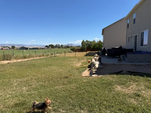 Expansive backyard with a concrete patio and a stone retaining wall