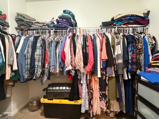 Built-in closet with carpet flooring and shelving